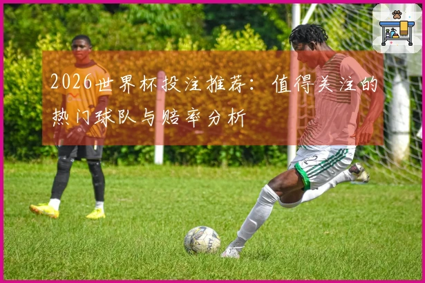 2026世界杯投注推荐：值得关注的热门球队与赔率分析