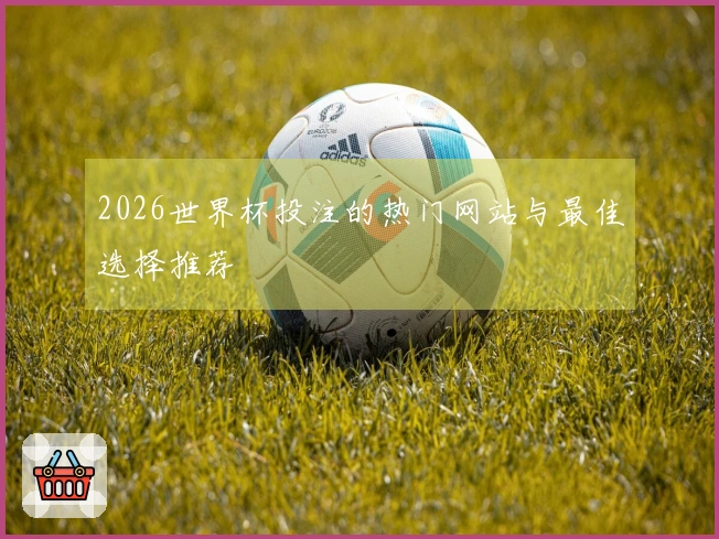 2026世界杯投注的热门网站与最佳选择推荐