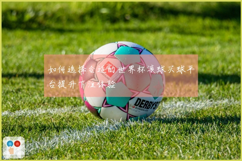 如何选择合适的世界杯滚球买球平台提升下注体验